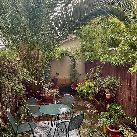 Le Palmier * Montpellier